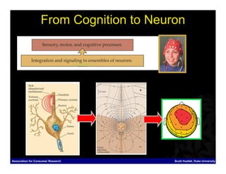 From Cognition to Neuron




Association for Consumer Research        Scott Huettel, Duke University
 