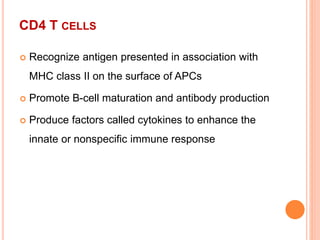CD4 T CELLS
 Recognize antigen presented in association with
MHC class II on the surface of APCs
 Promote B-cell maturation and antibody production
 Produce factors called cytokines to enhance the
innate or nonspecific immune response
 