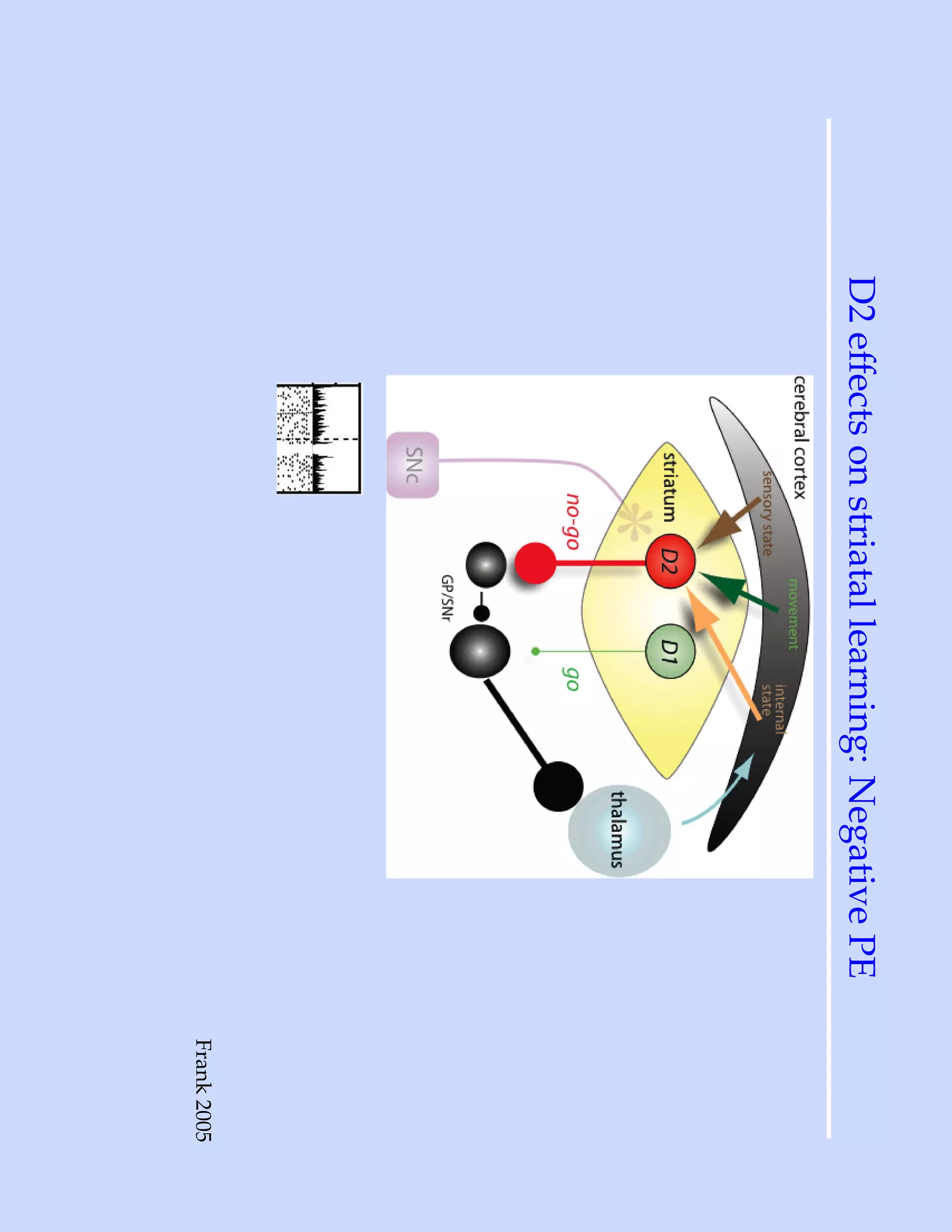 D2 effects on striatal learning: Negative PE
                                               Frank 2005
 