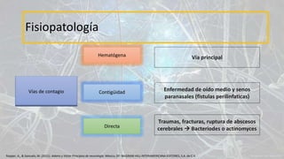 Fisiopatología
Vías de contagio
Hematógena
Directa
Contigüidad Enfermedad de oído medio y senos
paranasales (fistulas perilinfaticas)
Traumas, fracturas, ruptura de abscesos
cerebrales  Bacteriodes o actinomyces
Vía principal
Ropper, A., & Samuels, M. (2011). Adams y Victor Principios de neurología. México, DF: McGRAW-HILL INTERAMERICANA EDITORES, S.A. de C.V.
 