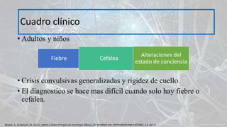 • Adultos y niños
• Crisis convulsivas generalizadas y rigidez de cuello.
• El diagnostico se hace mas difícil cuando solo hay fiebre o
cefalea.
Cuadro clínico
Fiebre Cefalea
Alteraciones del
estado de conciencia
Ropper, A., & Samuels, M. (2011). Adams y Victor Principios de neurología. México, DF: McGRAW-HILL INTERAMERICANA EDITORES, S.A. de C.V.
 