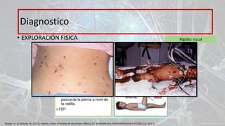 • EXPLORACIÓN FISICA
Diagnostico
Rigidez nucal
Ropper, A., & Samuels, M. (2011). Adams y Victor Principios de neurología. México, DF: McGRAW-HILL INTERAMERICANA EDITORES, S.A. de C.V.
 