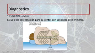 • PUNCIÓN LUMBAR
Estudio de confirmación para pacientes con sospecha de meningitis.
Diagnostico
Ropper, A., & Samuels, M. (2011). Adams y Victor Principios de neurología. México, DF: McGRAW-HILL INTERAMERICANA EDITORES, S.A. de C.V.
 