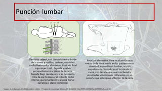 Decúbito lateral, con la espalda en el borde
de la cama y rodillas, caderas, espalda y
cuello flexionados al máximo. Posición fetal
o genupectoral . Espalda y pelvis
perpendiculares al plano de la cama.
Soporte bajo la cabeza y, si es necesario,
entre la cresta ilíaca y el reborde costal
inferior, para mantener la espina dorsal
paralela al plano horizontal.
Posición alternativa. Para localización más
exacta de la línea media en los pacientes con
obesidad, espondilosis lumbar, artritis
anquilosante: Sentado en el borde de la
cama, con la cabeza apoyada sobre dos
almohadas voluminosas colocadas em un
soporte que sobrepase el borde de la cama
Punción lumbar
Ropper, A., & Samuels, M. (2011). Adams y Victor Principios de neurología. México, DF: McGRAW-HILL INTERAMERICANA EDITORES, S.A. de C.V.
 