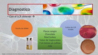 • Con el LCR obtener 
Diagnostico
Tinción de GRAM
Cultivo de LCR
70-90%
Placas sangre
Chocolate
MacConkey
Tubos de tioglucolato
Y al menos un cultivo
más
Ropper, A., & Samuels, M. (2011). Adams y Victor Principios de neurología. México, DF: McGRAW-HILL INTERAMERICANA EDITORES, S.A. de C.V.
 