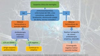 ¿Inmunocompromiso,
enfermedad del SNC, crisis
convulsivas, papiledema,
focalización, disminución estado
de alerta, nervios craneales?
NO SI
Obtener
hemocultivos y
punción lumbar
Obtener
hemocultivos de
inmediato
Antibioterapia
empírica y
esteroide
Realizar tomografía
de cráneo,
antibioterapia
empírica, esteroide
LCR con GRAM + LCR negativo
Dirigir esquema
antimicrobiano
Continuar tx
empírico
Si tomografía
negativa realizar
punción lumbar
Quintanar Trejo, L. E., Rodríguez Lobato, L. G., Cavazos Quero, M. M., & Valente Acosta, B. (2016). Manual del Médico Interno de Pregrado. Ciudad de México: Intersistemas, S.A de C. V.
Sospecha clínica de meningitis
 