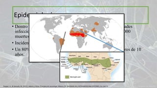 Epidemiología
• Dentro de las 10 principales causas de muerte por enfermedades
infecciosas, con uno a dos millones de casos anuales y 135,000
muertes.
• Incidencia anual de 4-6 casos por 100, 000 habitantes
• Un 80% ocurre en la infancia, especialmente en niños menores de 10
años.
Ropper, A., & Samuels, M. (2011). Adams y Victor Principios de neurología. México, DF: McGRAW-HILL INTERAMERICANA EDITORES, S.A. de C.V.
 