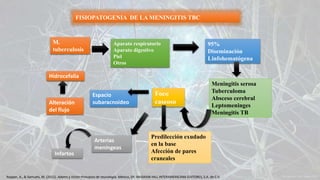 FISIOPATOGENIA DE LA MENINGITIS TBC
M.
tuberculosis
Aparato respiratorio
Aparato digestivo
Piel
Otros
95%
Diseminación
Linfohematógena
Meningitis serosa
Tuberculoma
Absceso cerebral
Leptomeninges
Meningitis TB
Foco
caseoso
Predilección exudado
en la base
Afección de pares
craneales
Espacio
subaracnoideoAlteración
del flujo
Hidrocefalia
Arterias
meníngeas
Infartos
Ropper, A., & Samuels, M. (2011). Adams y Victor Principios de neurología. México, DF: McGRAW-HILL INTERAMERICANA EDITORES, S.A. de C.V.
 