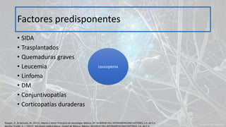 • SIDA
• Trasplantados
• Quemaduras graves
• Leucemia
• Linfoma
• DM
• Conjuntivopatías
• Corticopatías duraderas
Factores predisponentes
Leucopenia
Ropper, A., & Samuels, M. (2011). Adams y Victor Principios de neurología. México, DF: McGRAW-HILL INTERAMERICANA EDITORES, S.A. de C.V.
Bonifaz Trujillo, A. J. (2012). Micología médica básica. Ciudad de México, México: McGRAW-HILL INTERAMERICANA EDITORES, S.A. de C.V.
 