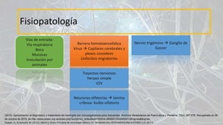 Fisiopatología
Vías de entrada:
Vía respiratoria
Boca
Mucosas
Inoculación por
animales
Barrera hematoencefalica
Virus  Capilares cerebrales y
plexos coroideos
Linfocitos migratorios
Trayectos nerviosos
Herpes simple
VZV
Neuronas olfatorias  lamina
cribosa- bulbo olfatorio
Nervio trigémino  Ganglio de
Gasser
Ropper, A., & Samuels, M. (2011). Adams y Victor Principios de neurología. México, DF: McGRAW-HILL INTERAMERICANA EDITORES, S.A. de C.V.
(2010). Aproximación al diagnóstico y tratamiento de meningitis por microorganismos poco frecuentes. Archivos Venezolanos de Puericultura y Pediatría, 73(4), 067-076. Recuperado en 06
de octubre de 2016, de http://www.scielo.org.ve/scielo.php?script=sci_arttext&pid=S0004-06492010000400012&lng=es&tlng=es.
 