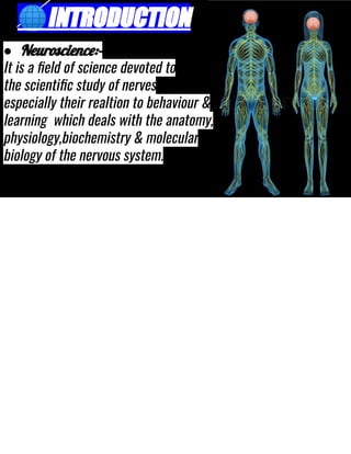 🌐INTRODUCTION
● Neuroscience:-
It is a ﬁeld of science devoted to
the scientiﬁc study of nerves
especially their realtion to behaviour &
learning which deals with the anatomy,
physiology,biochemistry & molecular
biology of the nervous system.
 