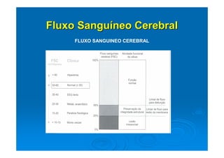Fluxo Sanguíneo Cerebral
     FLUXO SANGUINEO CEREBRAL
 