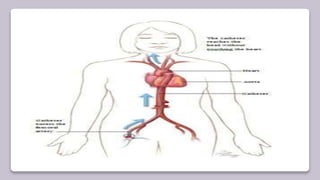 Neuro interventional procedures