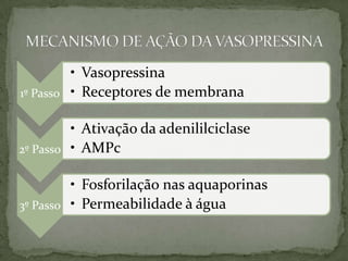 • Vasopressina
1º Passo • Receptores de membrana

         • Ativação da adenililciclase
2º Passo • AMPc

         • Fosforilação nas aquaporinas
3º Passo • Permeabilidade à água
 