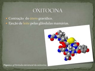  Contração do útero gravídico.
   Ejeção de leite pelas glândulas mamárias.




Figura 1.3 Fórmula estrutural da oxitocina
 