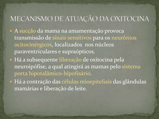  A sucção da mama na amamentação provoca
  transmissão de sinais sensitivos para os neurônios
  ocitocinérgicos, localizados nos núcleos
  paraventriculares e supraópticos.
 Há a subsequente liberação de oxitocina pela
  neuroipófise, a qual atingirá as mamas pelo sistema
  porta hipotalâmico-hipofisário.
 Há a contração das células mioepiteliais das glândulas
  mamárias e liberação de leite.
 