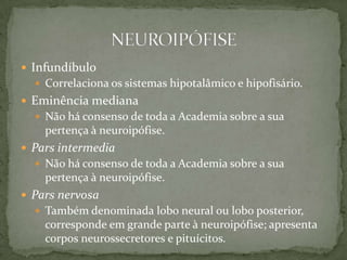  Infundíbulo
   Correlaciona os sistemas hipotalâmico e hipofisário.
 Eminência mediana
   Não há consenso de toda a Academia sobre a sua
    pertença à neuroipófise.
 Pars intermedia
   Não há consenso de toda a Academia sobre a sua
    pertença à neuroipófise.
 Pars nervosa
   Também denominada lobo neural ou lobo posterior,
    corresponde em grande parte à neuroipófise; apresenta
    corpos neurossecretores e pituícitos.
 