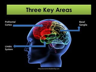 Three Key Areas
Prefrontal
Cortex
Limbic
System
Basal
Ganglia
http://concentricleadership.com
 