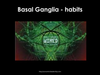 Basal Ganglia - habits
http://concentricleadership.com
 