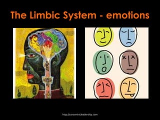 The Limbic System - emotions
http://concentricleadership.com
 