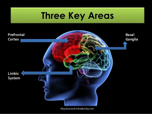 NeuroLeadership in Organization Development