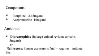 Revivon Comprehensive Overview of Neuroleptanalgesia in Veterinary Medicine | PPTX