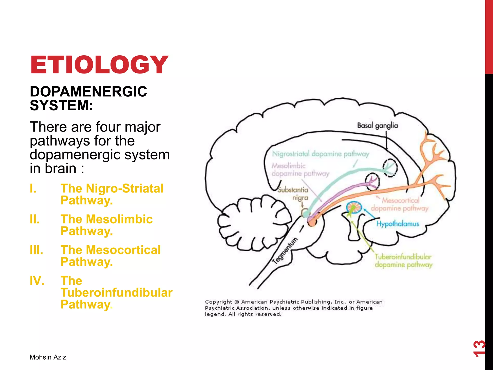 DOPAMENERGIC
SYSTEM:
There are four major
pathways for the
dopamenergic system
in brain :
I. The Nigro-Striatal
Pathway.
II. The Mesolimbic
Pathway.
III. The Mesocortical
Pathway.
IV. The
Tuberoinfundibular
Pathway.
ETIOLOGY
Mohsin Aziz
13
 