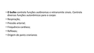 • O bulbo controla funções autônomas e retransmite sinais. Controla
diversas funções autonômicas para o corpo:
• Respiração;
• Pressão arterial;
• Frequência cardíaca;
• Reflexos;
• Origem de pares cranianos
 