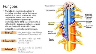 Funções
• A função das meninges é proteger o
encéfalo e a medula espinal de traumas
mecânicos, fornecer suporte aos vasos
sanguíneos e formar uma cavidade
contínua preenchida por líquido
cefalorraquidiano (LCR). Especificamente, o
LCR está entre as duas camadas meníngeas
internas (aracnoide e pia-máter), que
juntas são denominadas leptomeninges.
 
