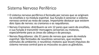 Sistema Nervoso Periférico
• O sistema nervoso periférico é formado por nervos que se originam
no encéfalo e na medula espinhal. Sua função é conectar o sistema
nervoso central ao resto do corpo. Importante destacar que existem
dois tipos de nervos: os cranianos e os raquidianos.
• Nervos Cranianos: distribuem-se em 12 pares que saem do encéfalo,
e sua função é transmitir mensagens sensoriais ou motoras,
especialmente para as áreas da cabeça e do pescoço.
• Nervos Raquidianos: são 31 pares de nervos que saem da medula
espinhal. São formados de neurônios sensoriais, que recebem
estímulos do ambiente; e neurônios motores que levam impulsos do
sistema nervoso central para os músculos ou para as glândulas.
 