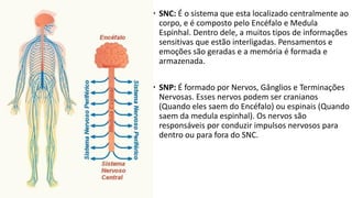 • SNC: É o sistema que esta localizado centralmente ao
corpo, e é composto pelo Encéfalo e Medula
Espinhal. Dentro dele, a muitos tipos de informações
sensitivas que estão interligadas. Pensamentos e
emoções são geradas e a memória é formada e
armazenada.
• SNP: É formado por Nervos, Gânglios e Terminações
Nervosas. Esses nervos podem ser cranianos
(Quando eles saem do Encéfalo) ou espinais (Quando
saem da medula espinhal). Os nervos são
responsáveis por conduzir impulsos nervosos para
dentro ou para fora do SNC.
 