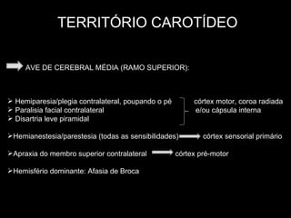 TERRITÓRIO CAROTÍDEO AVE DE CEREBRAL MÉDIA (RAMO SUPERIOR): Hemiparesia/plegia contralateral, poupando o pé  córtex motor, coroa radiada Paralisia facial contralateral  e/ou cápsula interna Disartria leve piramidal Hemianestesia/parestesia (todas as sensibilidades)  córtex sensorial primário Apraxia do membro superior contralateral  córtex pré-motor Hemisfério dominante: Afasia de Broca 