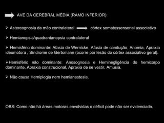 AVE DA CEREBRAL MÉDIA (RAMO INFERIOR): Astereognosia da mão contralateral  córtex somatossensorial associativo Hemianopsia/quadrantanopsia contralateral Hemisfério dominante: Afasia de Wernicke, Afasia de condução, Anomia, Apraxia ideomotora , Síndrome de Gertsmann (ocorre por lesão do córtex associativo geral). Hemisfério não dominante: Anosognosia e Heminegligência do hemicorpo dominante, Apraxia construcional, Apraxia de se vestir, Amusia. Não causa Hemiplegia nem hemianestesia. OBS: Como não há áreas motoras envolvidas o déficit pode não ser evidenciado. 