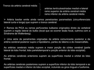 Tronco da artéria cerebral média  artérias lentículoestriadas medial e lateral ramo superior da artéria cerebral média ramo inferior da artéria cerebral média Artéria basilar emite ainda ramos penetrantes paramediais (circunferenciais lateral curta e longa) que suprem o tronco cerebral. Ramos da PICA ou ramos perfurantes bulbares originados direto da vertebral suprem a região lateral do bulbo (local que se ocorrer lesão focal, culmina com a Síndrome de Wallenberg). Uma série de penetrantes originadas da artéria comunicante posterior e da artéria cerebral posterior supre o hipotálamo, partes do tálamo e do mesencéfalo. As artérias cerebrais média suprem a maior porção do córtex cerebral (parte lateral do lobo frontal, lobo parietotemporal e porção anterior do lobo occipital). As artérias cerebrais anteriores suprem as superfícies medial e orbital do lobo frontal. As artérias cerebrais posteriores suprem a superfície inferior do lobo temporal e as superfícies medial e inferior do lobo occipital, incluindo os giros lingual e fusiforme. 