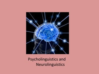 Psycholinguistics and  Neurolinguistics   