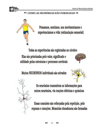COMO AS MEMÓRIAS SÃO FORMADAS
19
 