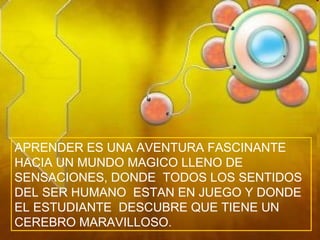 APRENDER ES UNA AVENTURA FASCINANTE HACIA UN MUNDO MAGICO LLENO DE  SENSACIONES, DONDE  TODOS LOS SENTIDOS DEL SER HUMANO  ESTAN EN JUEGO Y DONDE EL ESTUDIANTE  DESCUBRE QUE TIENE UN CEREBRO MARAVILLOSO. 