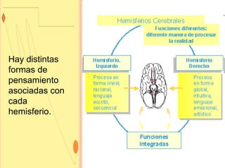 Hay distintas formas de pensamiento asociadas con cada hemisferio. 