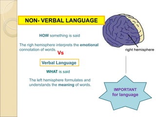 neurolinguistics.ppt
