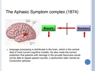 After autopsying eight similar patient with lesion in the left frontal lobe