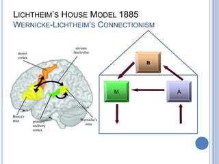 He made a famous statement that “we speak with the left hemisphere”language articulation lies the third frontal convolution of the inferior frontal gyrus; there is left hemisphere dominance in language articulation;understanding language is a different cognitive task than producing it.