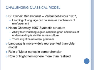 The brain’s anatomical asymmetry