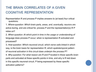 Geschwind’s territorythe inferior parietal lobule is connected by large bundles of nerve fibres to both Broca’s area and Wernicke’s area. 