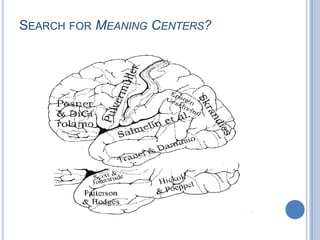 Information might therefore travel between these last two areas either directly, via the arcuate fasciculus, or by a second, parallel route that passes through the inferior parietal lobule. 