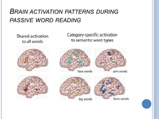 Damage to these areas does not cause an aphasia in the proper sense but impairs the initiation of movement (akinesia) and causes mutism, the complete absence of speech. 
