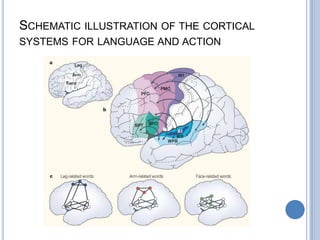 Mutism is a rarity in aphasic patients and is seen only during the very early stages of the condition. 