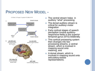 Schematic illustration of the cortical systems for language and action