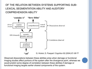 Phonological Processing of Speech soundThe phonemes [p] and [t] for example were mapped to adjacent areas in superiortemporalgyrus, anterior to primary auditory cortex and Heschl’sgyrus. A similar phonological mapping was evident in the motor system, where the production of [p] and [t] activated different precentral areas in a soma-totopic fashion. The articulatory mapping of phonemes to the motor system corresponded to the localization of the articulators mainly involved in the production of the respective speech sounds — the lips for [p] and the tongue for [t]