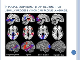 Hemispheric function for Language