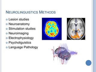 Neurolinguistics MethodsLesion studiesNeuroanatomyStimulation studiesNeuroimagingElectrophysiologyPsycholiguisticsLanguage Pathology